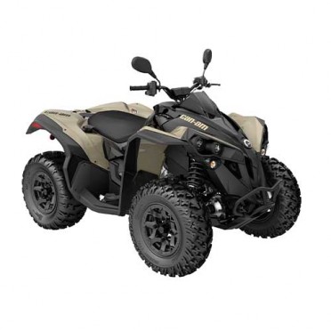 Can-Am Renegade 650 T '22