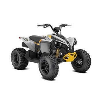 Can-Am Renegade STD 110 EFI INT '24